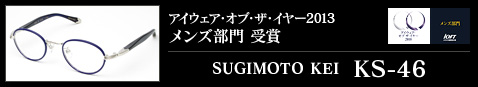 IOFT2013 メンズ部門 受賞モデル